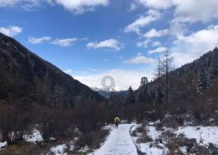 你们家我去了好多次了该怎么回复？
